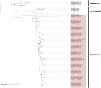 Viral pathogen detection in U.S. game-farm mallard (Anas platyrhynchos) flags spillover risk to wild birds